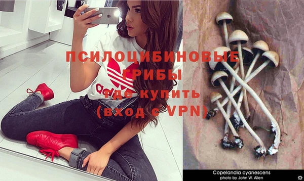 гидра Нягань