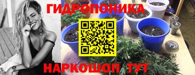 сатива Бийск