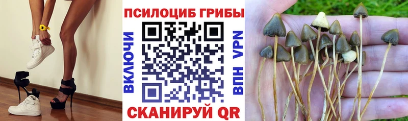 Галлюциногенные грибы прущие грибы  Саки 