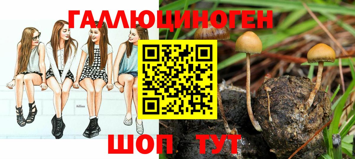 Галлюциногенные грибы мухоморы  Саки 