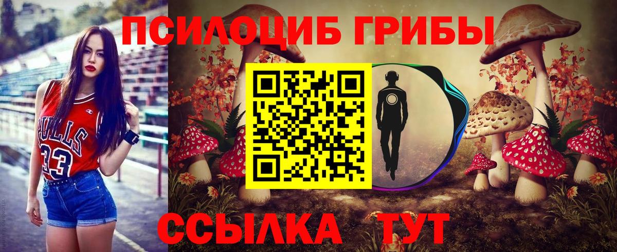 Галлюциногенные грибы Psilocybine cubensis Саки