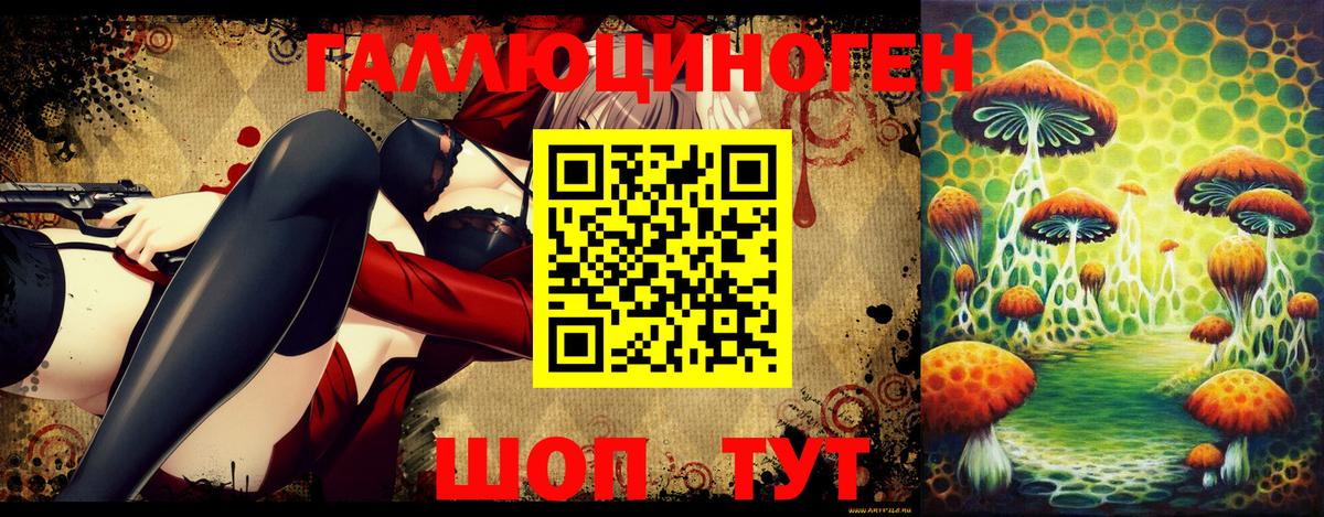 Псилоцибиновые грибы Psilocybine cubensis Саки